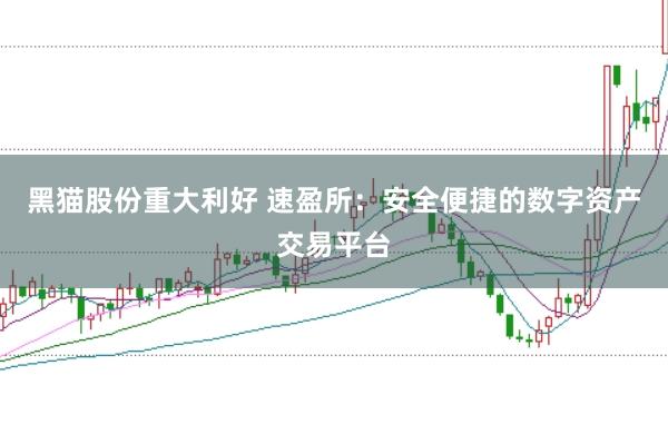 黑猫股份重大利好 速盈所:安全便捷的数字资产交易平台