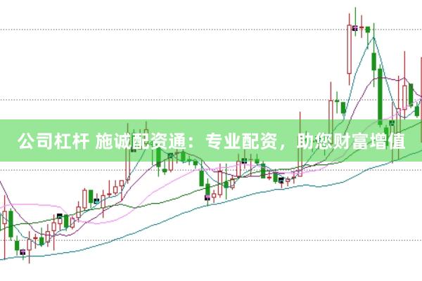 公司杠杆 施诚配资通：专业配资，助您财富增值