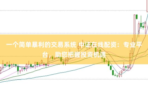 一个简单暴利的交易系统 中证在线配资：专业平台，助您把握投资机遇